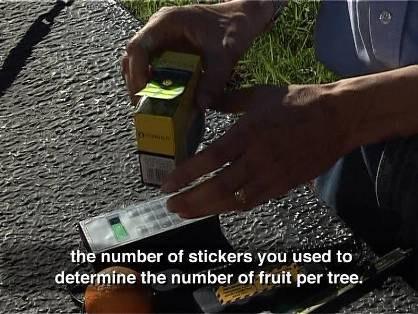 information Index Trees To build accurate historical data, it is important to measure and test the fruit of the same index trees at the same time every year.