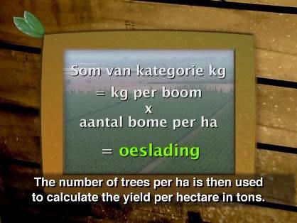 The one method is to put a sticker on every fruit in a tree, and then counting the number of stickers you used, to determine the number of fruit in the tree.