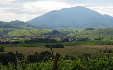 The Steinklotz Vineyard is the northernmost Grand Cru vineyard in Alsace situated at the end of the wine route at an elevation