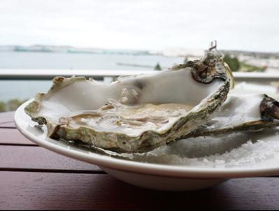 KING OYSTERS KING OYSTERS $100 PER OYSTER With its strong aroma of the rugged