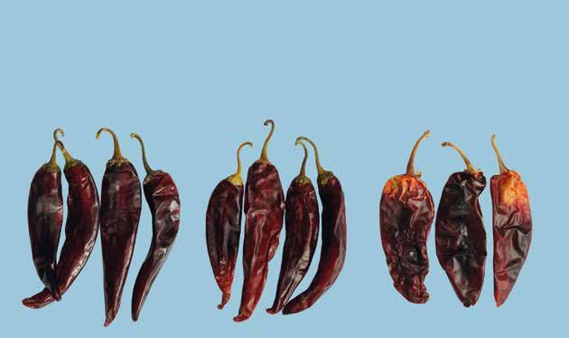 Provisions concerning Quality Photo 30 Colour requirements Commercial type Guajillo from left to right: Classes Extra, I and II limits allowed 29 E.