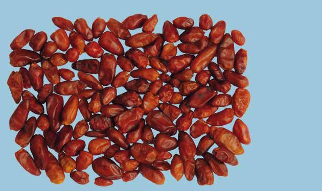 UNECE Explanatory Brochure on the Standard for Whole Dried Chilli Peppers Photo