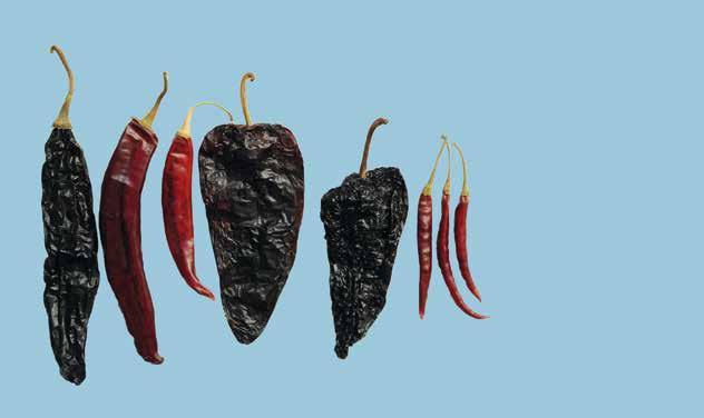 shapes, sizes and colours of chilli peppers.