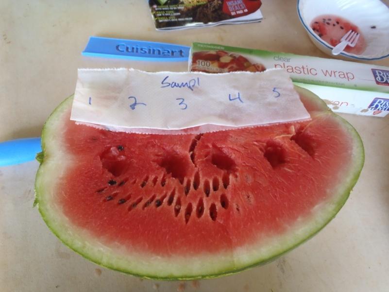 Measure RIX in watermelon from the collaborator on Molokai Sample# Location along Fruit Center Core 1-Fruit Peduncle End 2