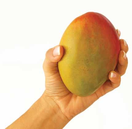 Receiving & Storing Fresh Mangos Mangos are packed in 8.8-pound cartons designed for airflow and to protect the fruit.