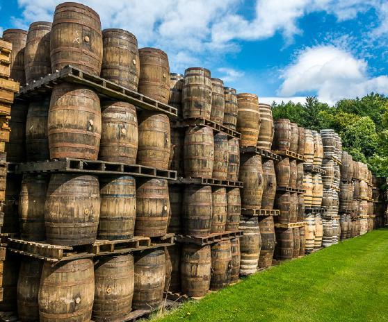 distilleries across the Highlands, the Lowlands, Speyside, Campbeltown, and Islay. At each distillery, you are carefully guided through structured nosing and tasting sessions by industry experts.