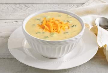 Gourmet Soups Broccoli & Cheese Portion Size: 8