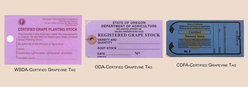 Washington state has its own grapevine certification program, which is legally defined WAC 16-462;, but also recognizes certification programs in California and Oregon. Figure 1.