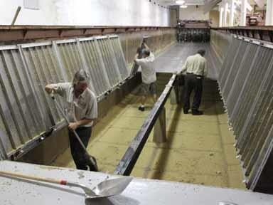 Preparing the compartment The Malting Process: Cleaning Perforated floors allow air to flow through