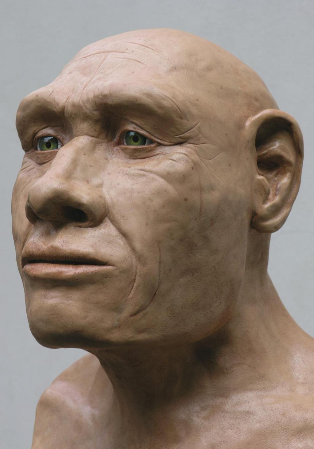 A reconstructed head