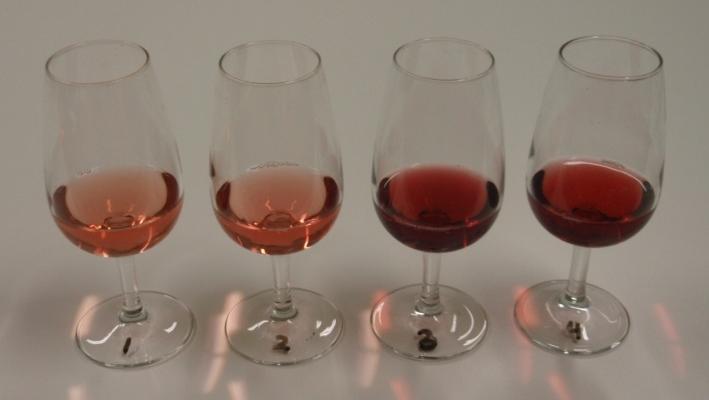 Effect of winemaking techniques on intensity of smoke taint in wine Investigate the influence of winemaking on intensity of smoke taint in wine duration of skin contact influence of yeast selection