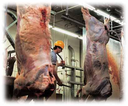 Slaughterhouses / Food Industry Customized solutions from one source Longtime experience in