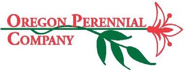 Geranium Patricia pink #1, 200/pckg 0.65 Quantity Pending Hemerocallis American Revolution near black, rebloomer #1, 200/pckg 1.
