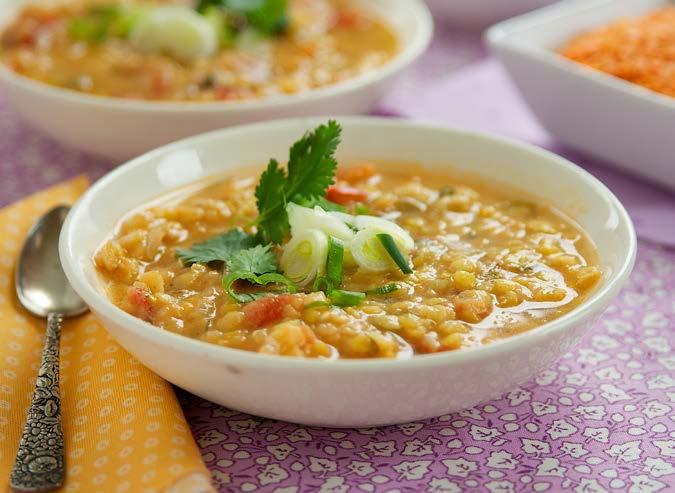 Indian Red Lentil Soup Our Indian-inspired soup is full of fiber and protein to keep you feeling full for hours. Tropical citrus and coconut flavors add a refreshing taste and aroma.