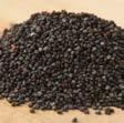 Poppy Seeds 104 200 5lb & 104 210 50lb (Dutch) 104 205 25lb These tiny, round seeds, slate-blue in color with a mild, nut-like aroma and taste are produced mainly in the