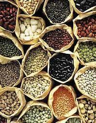 Seed Saving aka brown-bagging In agriculture and gardening, it s the practice of saving