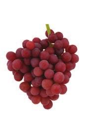 All California table grapes are of the European species Vitis vinifera, the same grape species most commonly used to make wine.