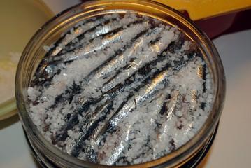 Salted anchovies 1st choice Salted anchovies