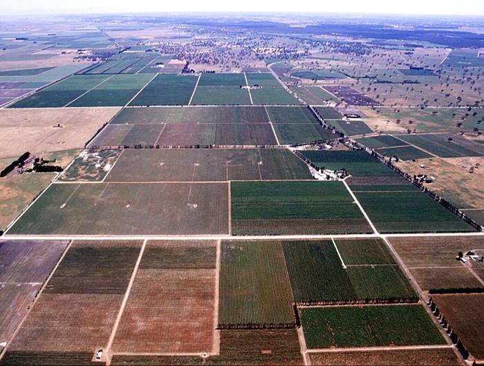 Figure 9. Aerial image of the northern half of Coonawarra Soils The best Wynns Cabernet Sauvignon fruit is always grown in Terra Rossa soils.