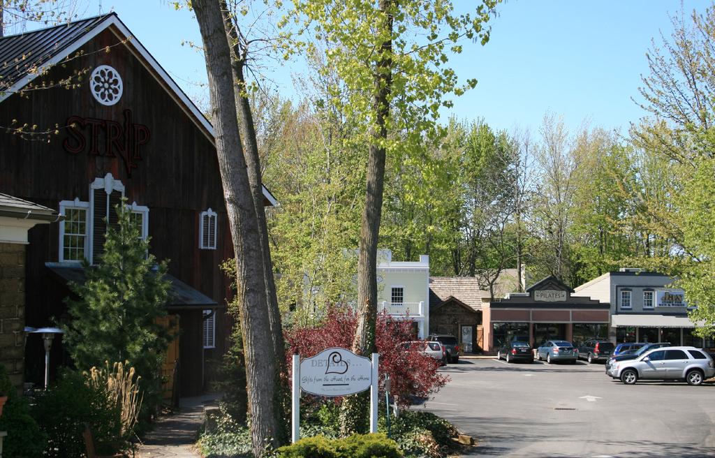 Welcome Quaint community of more than 10 boutique shops and eateries Created in 1994 with the opening of the Tree House Gallery and Tea Room Located on nearly 3 acres west of Route 83 on Detroit Road.