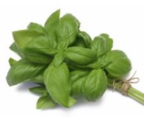 Basil Basil goes with almost everything! It has a special coupling when used in tomato based dishes and sauces.