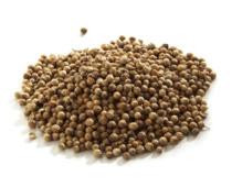 Coriander Seed Coriander has a sweet citrus taste and a spicy fragrance. It has a mild flavor, and is popular in many Asian dishes.