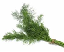 Handle sparingly and with care. Dill Weed Dill is a bright, tasty addition to dips and dressings, white sauces and soups.