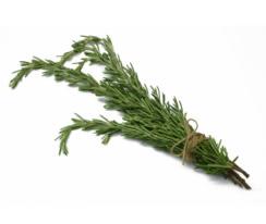 Rosemary Rosemary, a member of the mint family, with needle like leaves, is used on fish, lamb, pork and poultry dishes and can