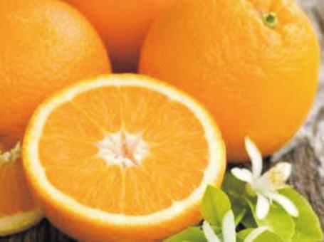 Table of Contents CONTENT LO 1 Demonstrate knowledge of the various varieties of citrus a)