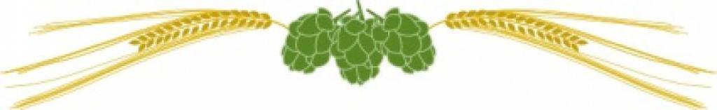 1 Faculty specializing in hops 1 Local rhizome source 1 Product approval system 1 Method to inform/educate VA brewers about VA hops 1 Great accessibility and feasibility concerning patented varieties