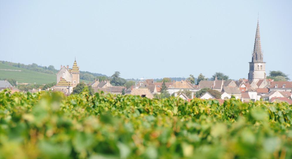 Xavier can trace his mother s ancestors, the Monniers, to 1723 in Meursault, and the family has been growing winegrapes for five generations, ever since his great-great-grandfather started to buy