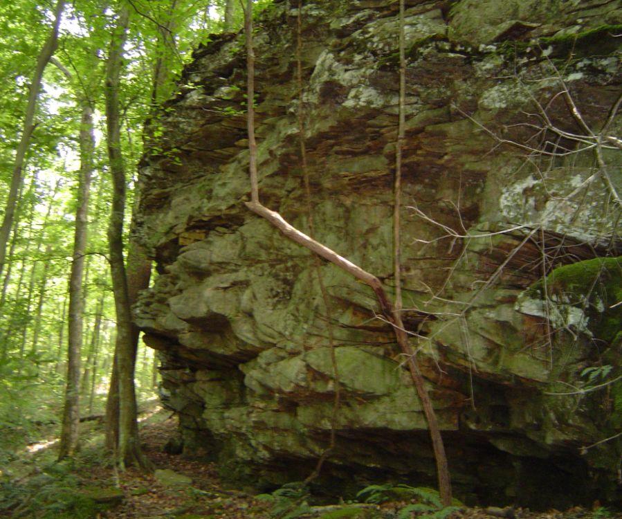 ROCKSHELTERS IN THE RED RIVER GORGE For nearly 12,000 years, people have lived in the Red River Gorge. This beautiful place has everything they need: food, shelter, other resources, and inspiration.