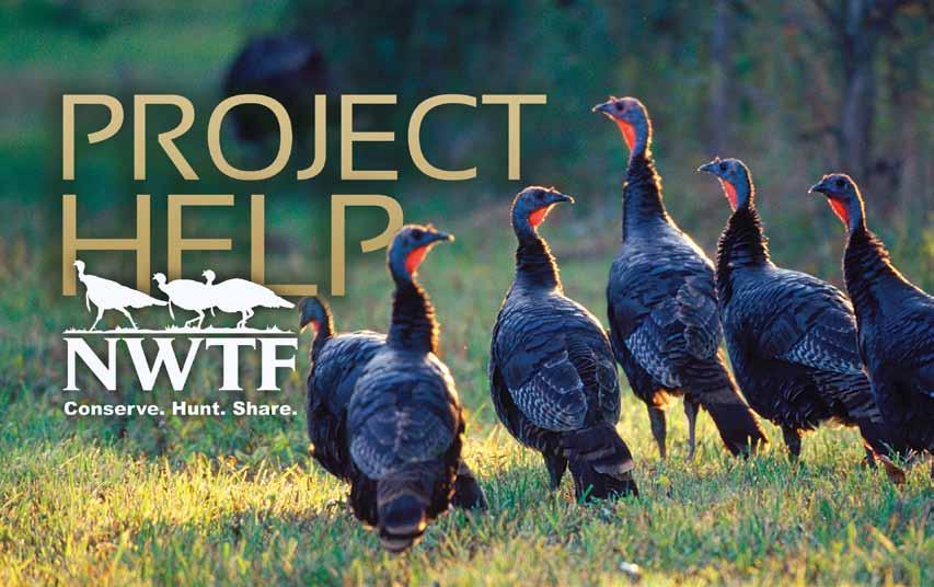 2011 Catalog Welcome to the 2011 edition of the Project HELP catalog. Thank you for your interest in land management products available through the National Wild Turkey Federation (NWTF).