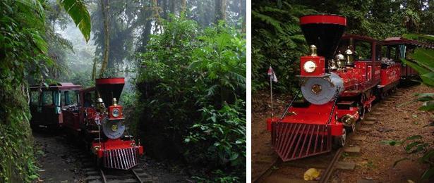 Monteverde train forest Travel about 6 kilometers through the Tropical Rain Forest, on a real