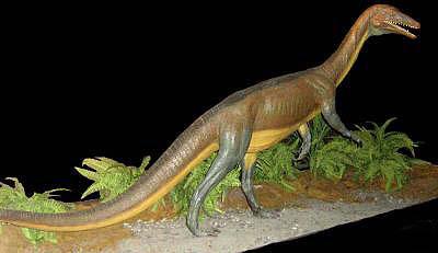 The dinosaur is a prehistoric animal. This image shows an Anchisauripus Sillimani.