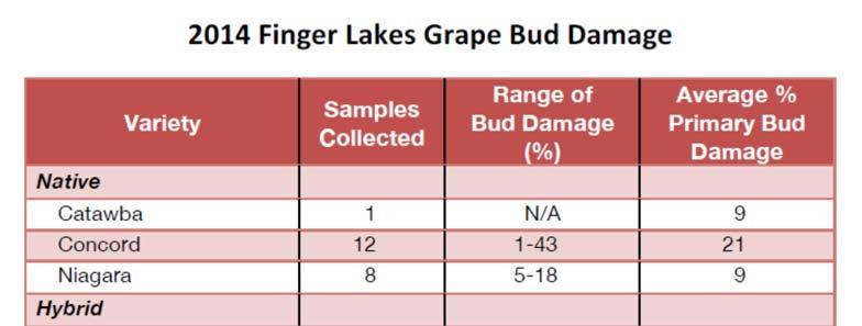 Appendix Winter Bud Injury in the Finger Lakes, Lake Erie and Hudson Valley Regions Hans Walter-Peterson, Luke Haggerty, Mike Collizi, Jim O Connell and Tim