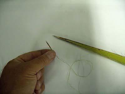 Fig 5: Needle and Thread are continuous.