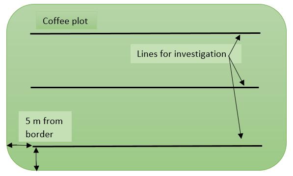5 meters from the border at the end of the long side of the plot (Figure 3).
