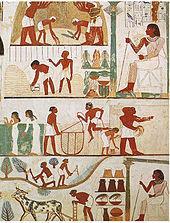 HISTORY OF EGYPTIAN CIVILIZATION Political organization began as small states ruled by local kings.