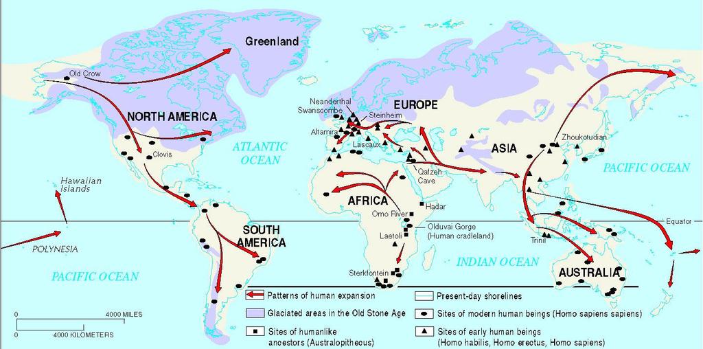 The Spread of Human Populations 1.