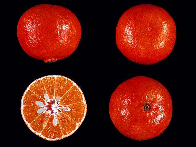 The 12-13 segments are readily separable and the axis is hollow. The flesh color is zinc orange, the fruit is juicy and has a pleasant flavor.