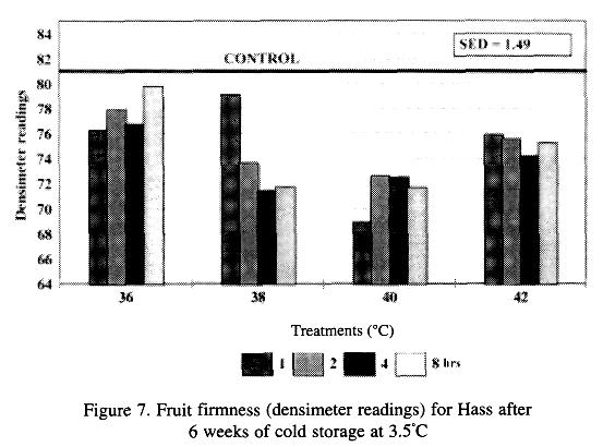Days to Ripening Fuerte As each temperature treatment increased in duration, so too did days to ripening for Fuerte after 5 weeks of cold storage (figure 8).