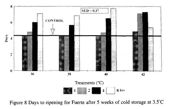 001**) The control was eating ripe 4 days after removal from cold storage while heat treatment at 40 C for 8 hours increased shelf life by 4 days and 38 C for 8 hours achieved an extra 3 days of