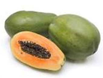 Major Papaya Types in the USA Solo Brookstropical.