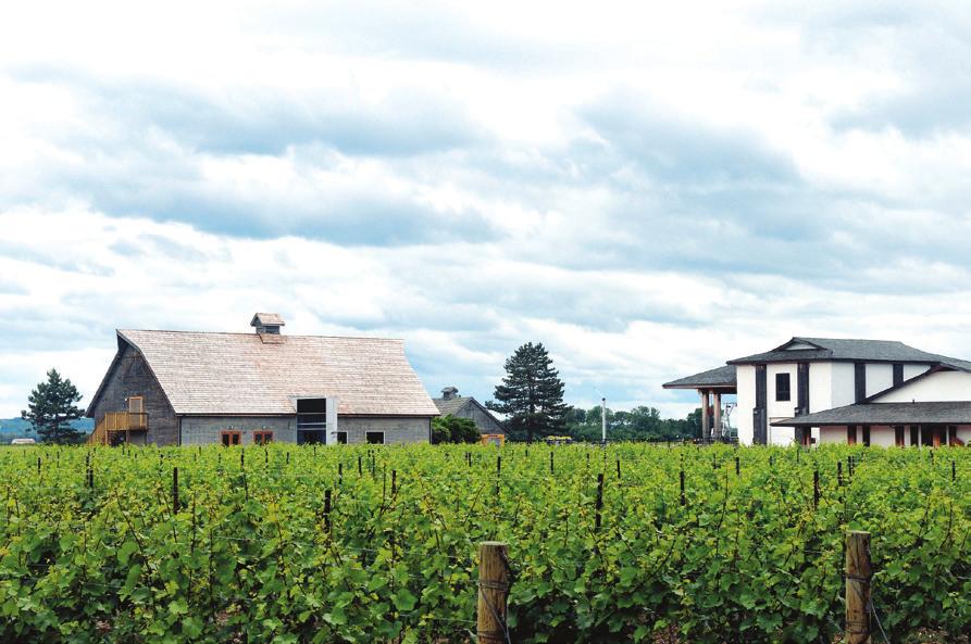 Inniskillin Wines offers a great sense of place in wine country