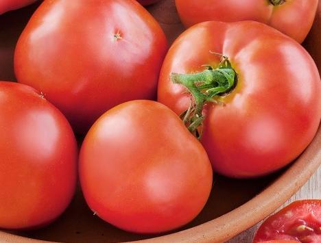 bi-colored beefsteak tomatoes with gold flesh with beautiful red streaks running throughout.