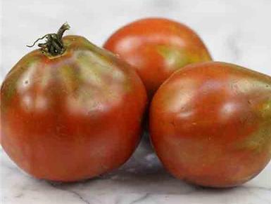 FOURTH OF JULY Hybrid 49 days Indeterminate EARLY season plant produces good yields of 4 oz bright red tomatoes all season long. You can celebrate Fourth of July with these luscious tomatoes.