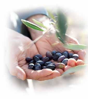 OLIVES, TAPENADES & ANTIPASTI Organic range BIO OLIVES BIO AND YOUR CUSTOMER 100% organic olives & ingredients. Complementing the core range. A complete range with basic recipes.