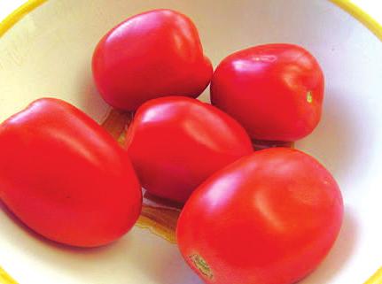 T O M AT O Ripe tomatoes are red, round or oval, 1 to 6. Eat raw; add to salads & sandwiches. Cook by baking, stewing, grilling, stir-frying. Choose smooth tomatoes, slightly soft, bruise free.