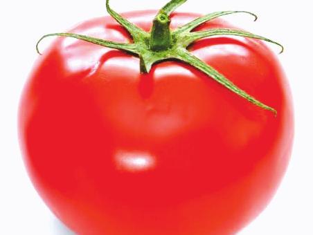 Refrigerate only extra-ripe tomatoes to keep from further ripening.
